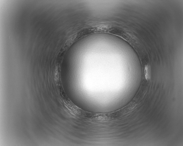 X0000056361395200509161816