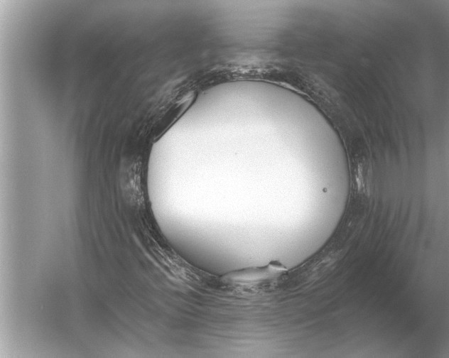 X0000056361396200509161816