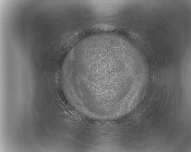 X0000056361397200509161816