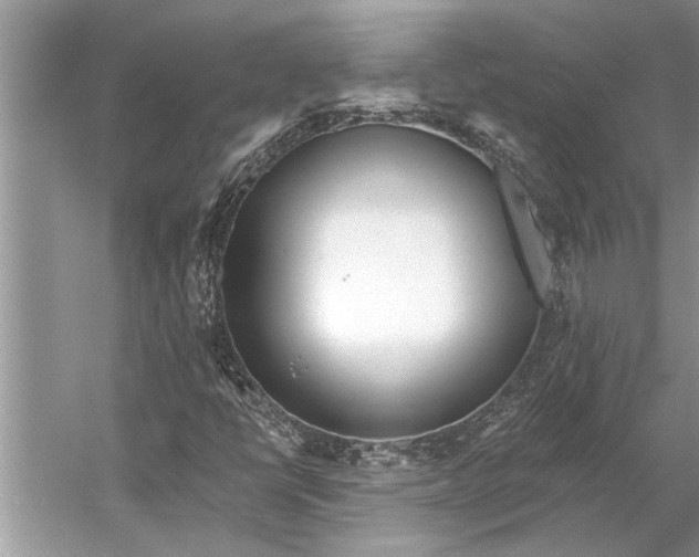 X0000056361398200509161816