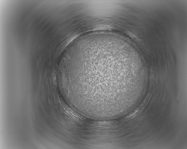 X0000056361401200509161816