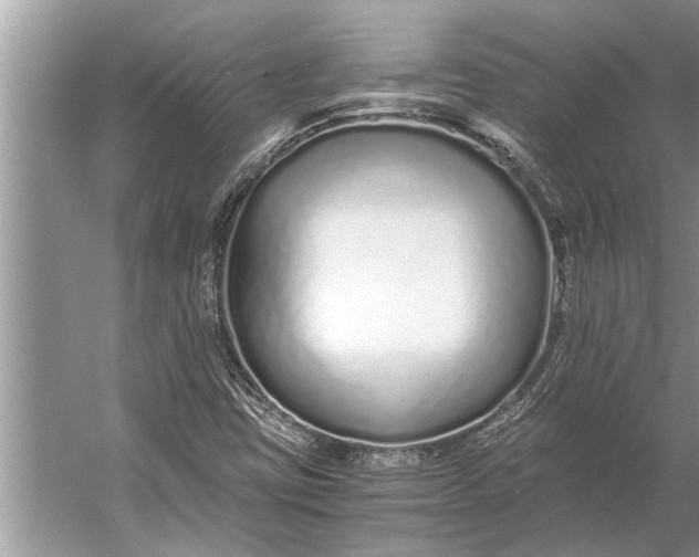 X0000056361403200509161816