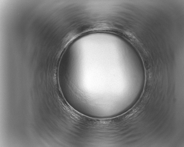 X0000056361409200509161816