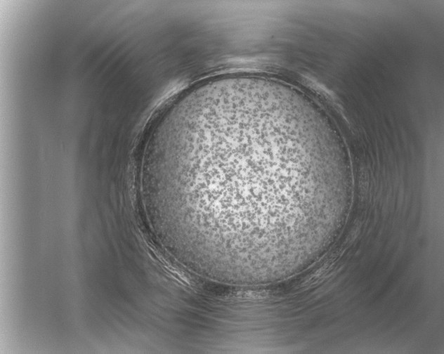 X0000056361411200509161816