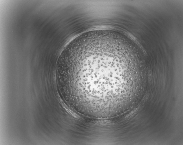 X0000056361417200509161816