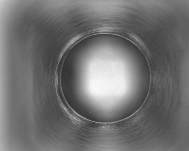 X0000056361418200509161816