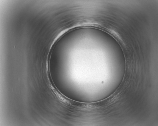 X0000056361420200509161816