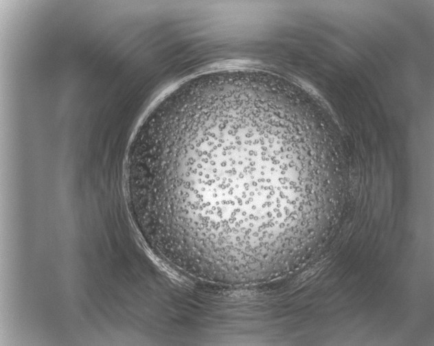 X0000056361421200509161816