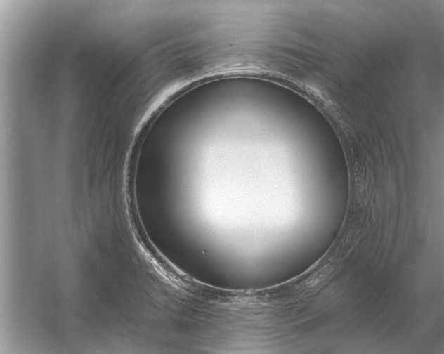 X0000056361422200509161816