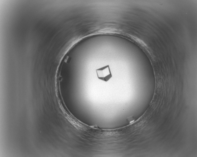 X0000056361423200509161816