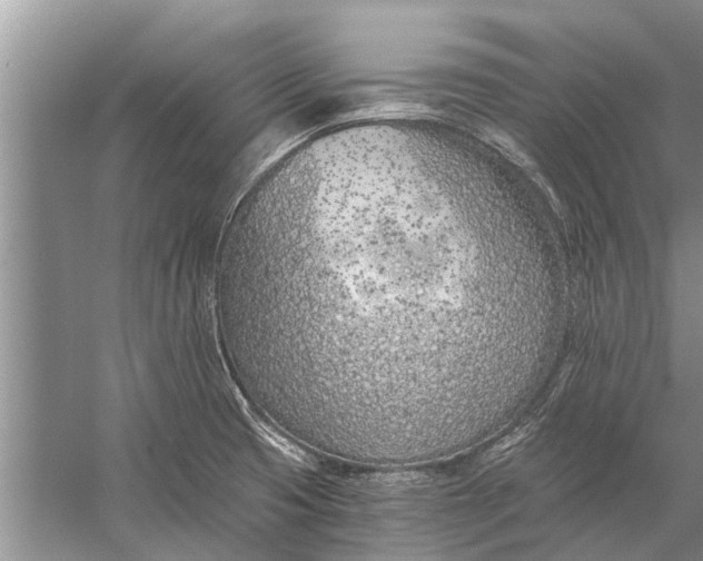 X0000056361425200509161816