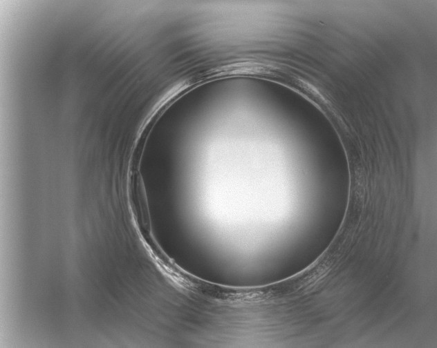 X0000056361426200509161816