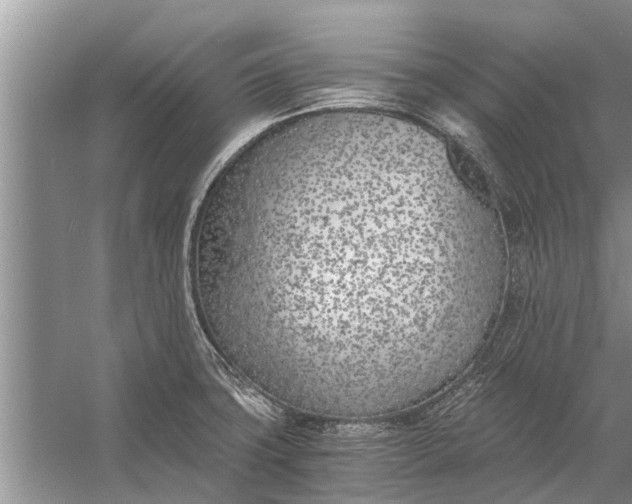 X0000056361427200509161816