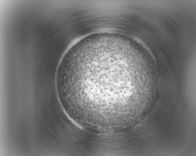 X0000056361429200509161816