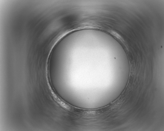 X0000056361431200509161816