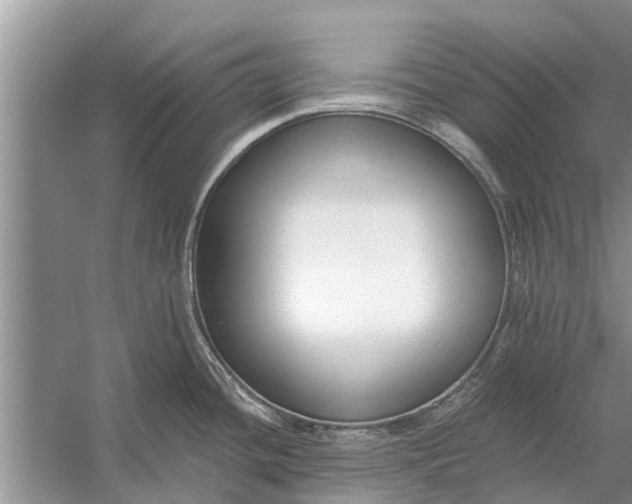 X0000056361436200509161816