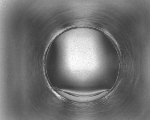 X0000056361437200509161816