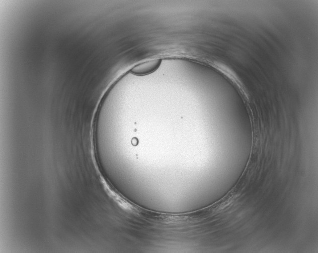 X0000056361439200509161816