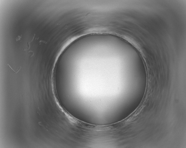 X0000056361440200509161816