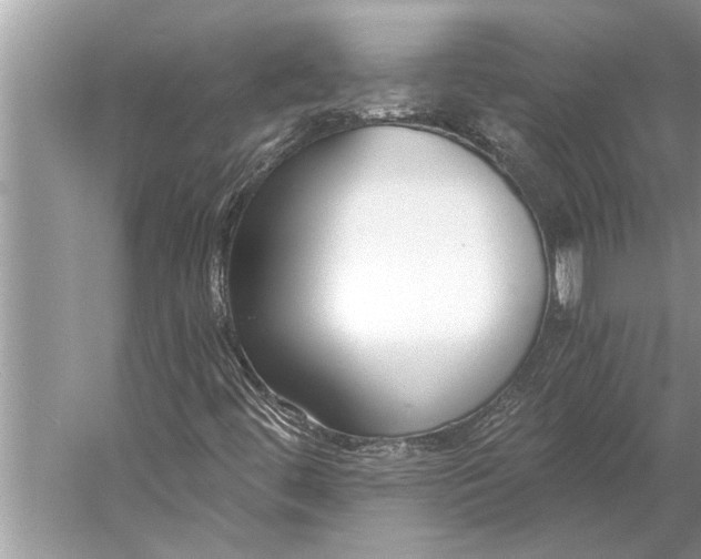 X0000056361444200509161816