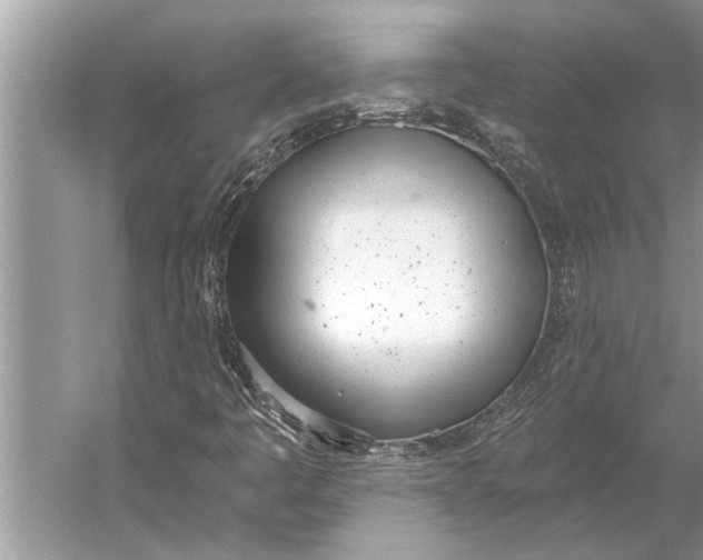 X0000056361445200509161816