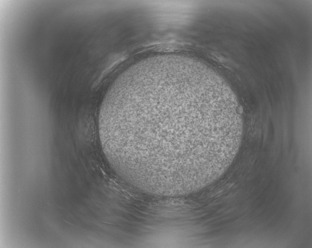 X0000056361446200509161816