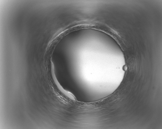 X0000056361448200509161816