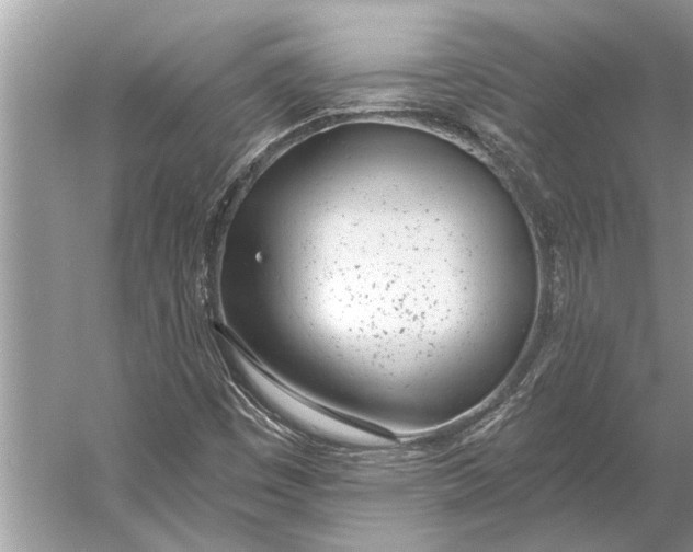 X0000056361449200509161816