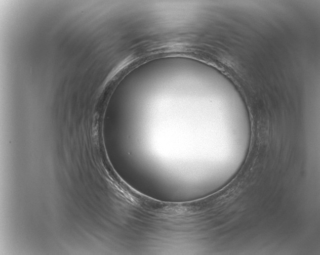 X0000056361450200509161815