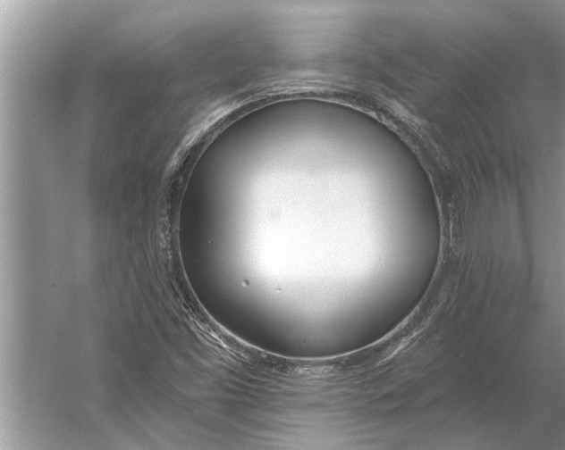 X0000056361453200509161815