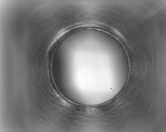 X0000056361456200509161815