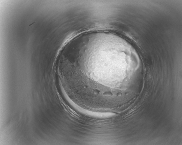 X0000056361459200509161815