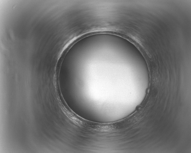 X0000056361460200509161815