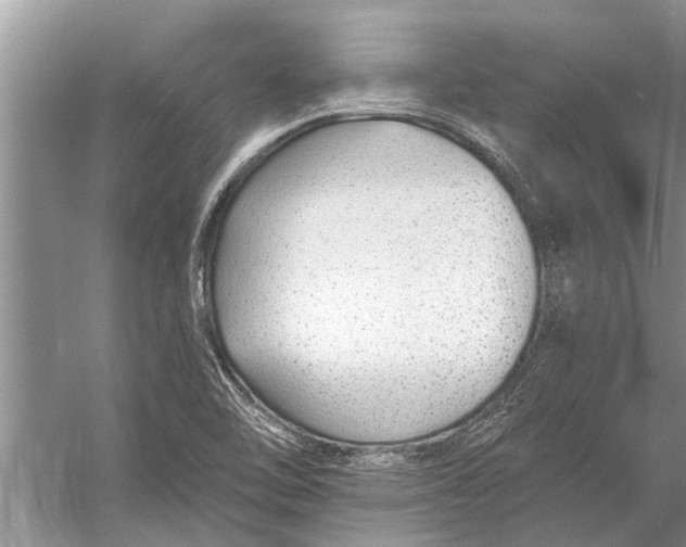 X0000056361462200509161815