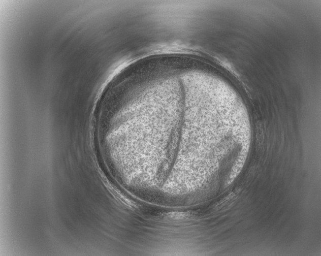 X0000056361463200509161815