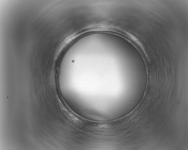 X0000056361464200509161815