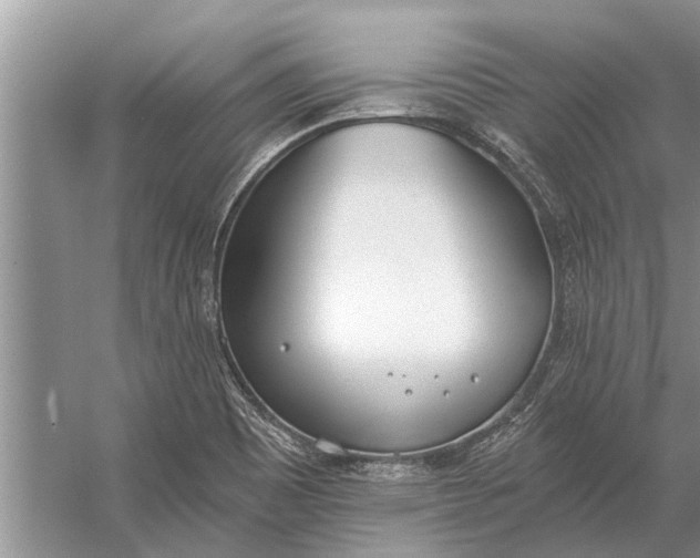 X0000056361465200509161815