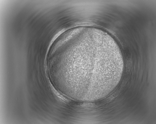 X0000056361466200509161815