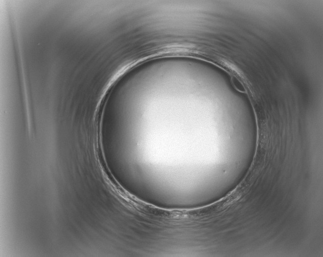 X0000056361467200509161815