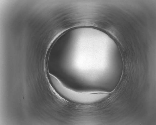 X0000056361468200509161815