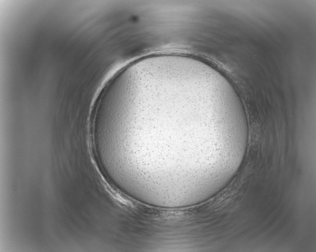 X0000056361470200509161815