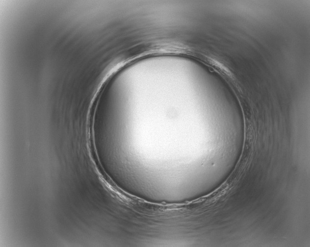 X0000056361471200509161815