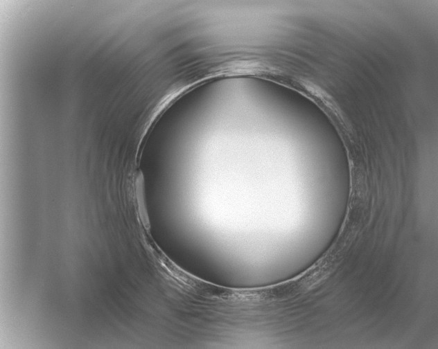 X0000056361473200509161815