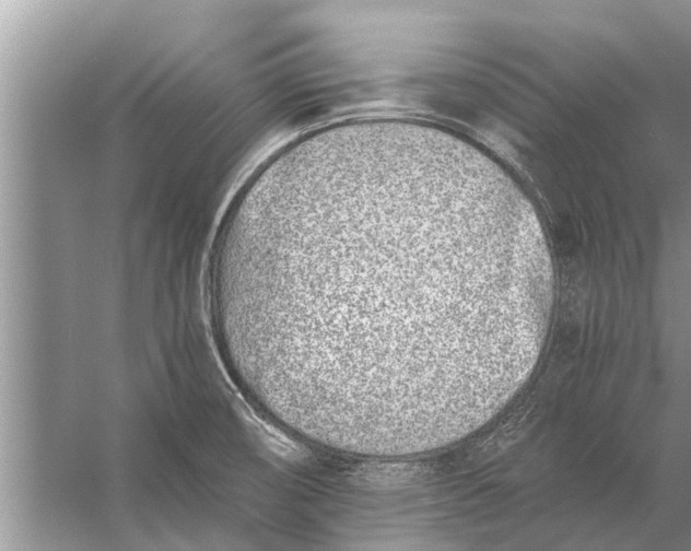 X0000056361474200509161815