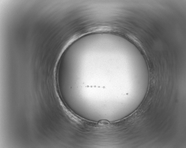 X0000056361475200509161815