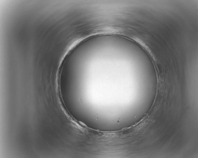 X0000056361477200509161815