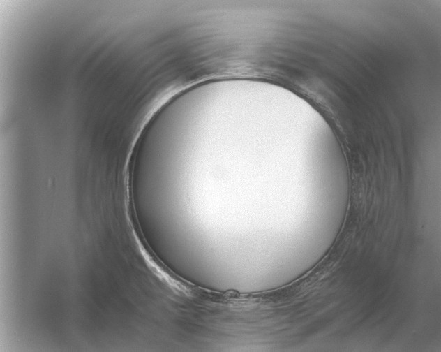 X0000056361479200509161815