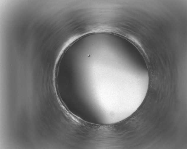 X0000056361480200509161815