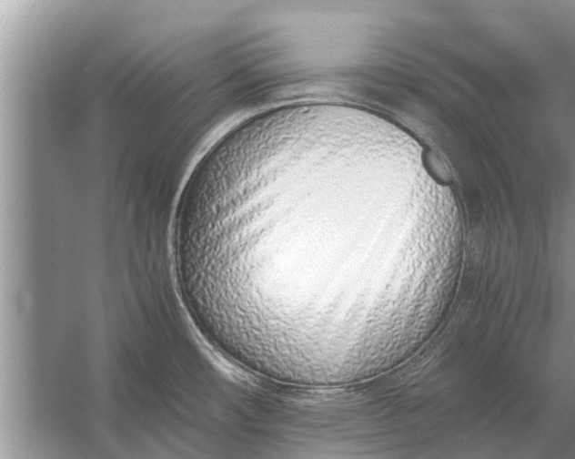 X0000056361482200509161815