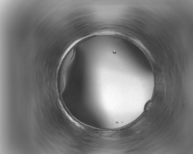 X0000056361484200509161815